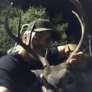 Meet your Posher, Steve